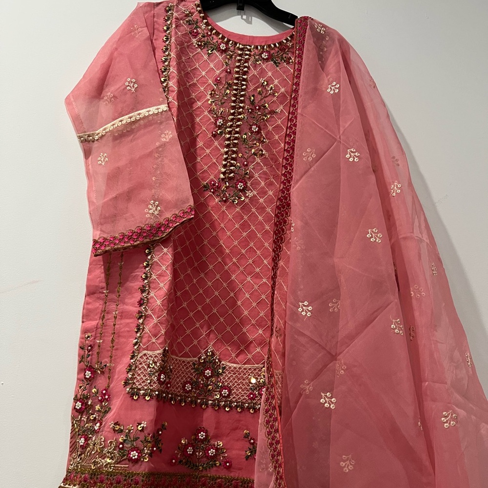Indian Pakistani Embroidery Kameez and dupatta Organza